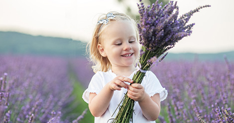 Aromatherapy: lavender recommended for children