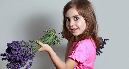 History of lavender